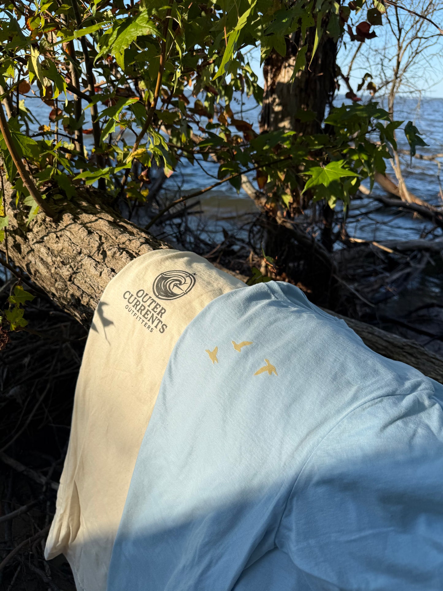 Compass Wave T-Shirt